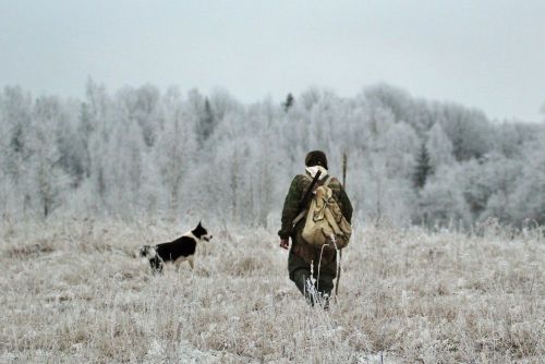 Аңнаар чөпшээрелди электроннуг хевир-биле кылдырып ап болур