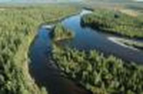 Органам рыбоохраны России — 85 лет