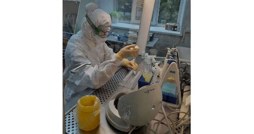 Чума бадыткаттынган