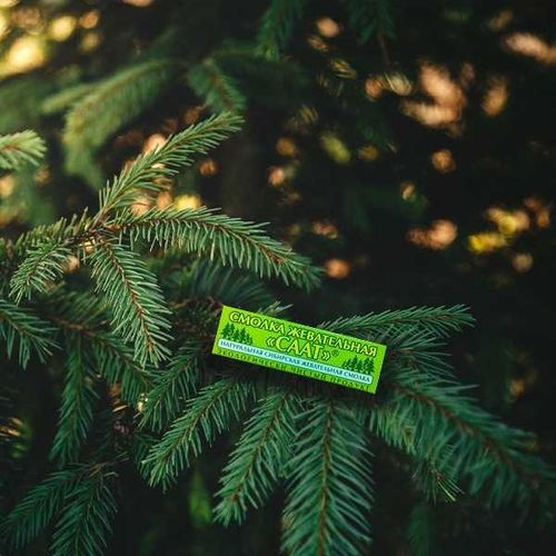 Традиции, которые надо разжевать