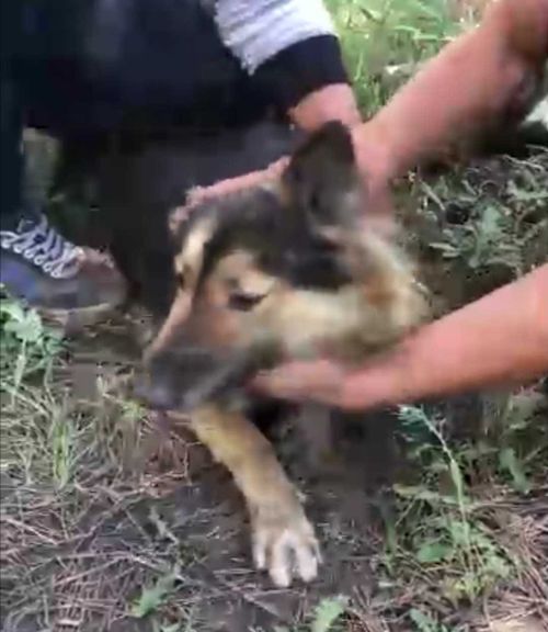 Одна история спасения