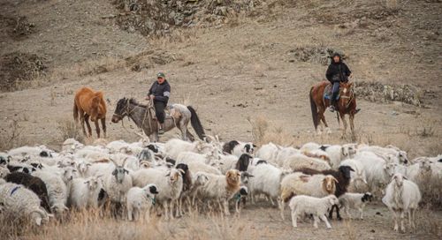 Животноводы Алдан-Маадыра