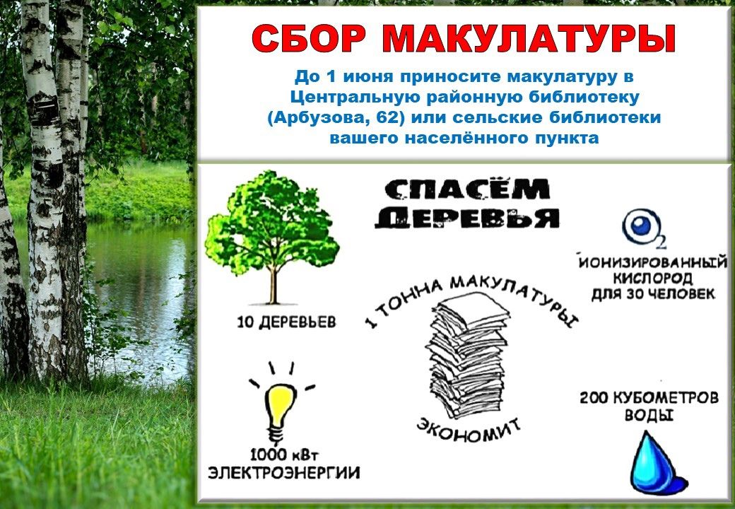 Проект сдай макулатуру спаси дерево
