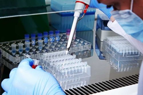 Нагрузка выросла. ПЦР-лаборатории перешли на круглосуточный режим работы