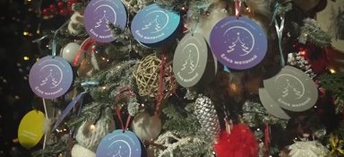 В России вновь стартует акция «Ёлка желаний»