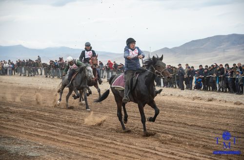 Бора-Булакта аът чарыжы