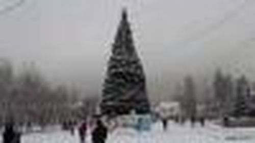 В пользу Тувинских добровольцев