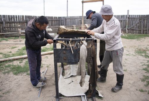 АЖЫЛ-ИШЧИ ТЕС-ХЕМЧИЛЕР