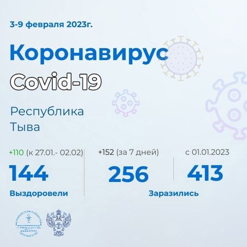 В Туве с начала года зарегистрировано 413 случаев заражения новой коронавирусной инфекцией