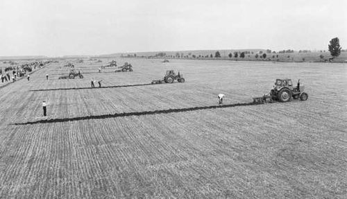 Взгляд в историю: 90 лет колхозу «Красный пахарь»  