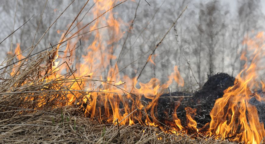 В Туве до 6 мая сохраняется особый противопожарный режим