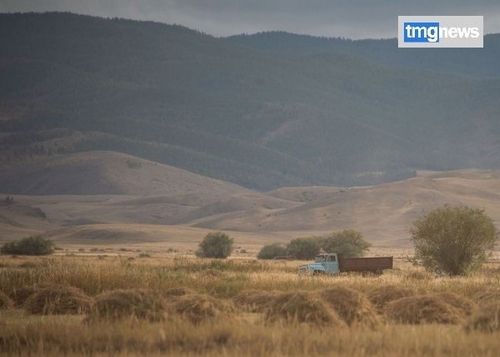 Тывага кааңназа-даа, чер ажылдыглар мал чемин курлавырлап белеткээн