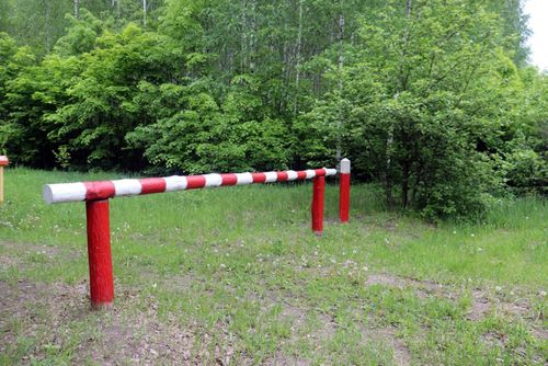 Жителям Тувы с 25 апреля запрещено посещать леса