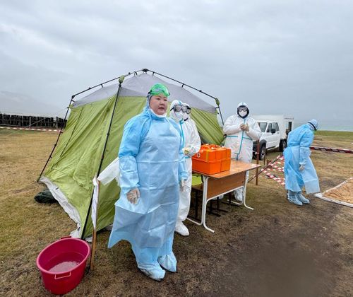 В Туве проведены командно-штабные учения по отработке действий в случае возникновения очага высокопатогенного гриппа птиц