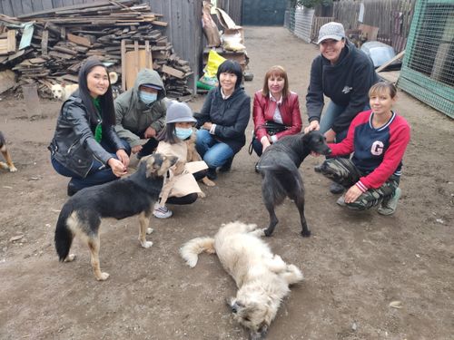 В КЫЗЫЛЕ СТАРТОВАЛ ПРОЕКТ ТУВИНСКИХ ДЕЛОРОССОВ ПО ОКАЗАНИЮ ПОМОЩИ БЕЗДОМНЫМ ЖИВОТНЫМ