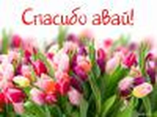 Самая важная профессия