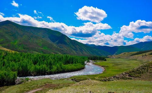 Чаңгыс хемниң оолдары