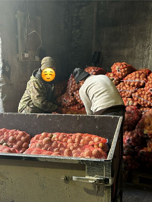 Семьям участников СВО в Каа-Хемском районе выдали картофель в рамках проекта «Кладовая семья»