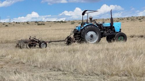 В Туве завершена заготовка кормов для зимовки сельхозживотных