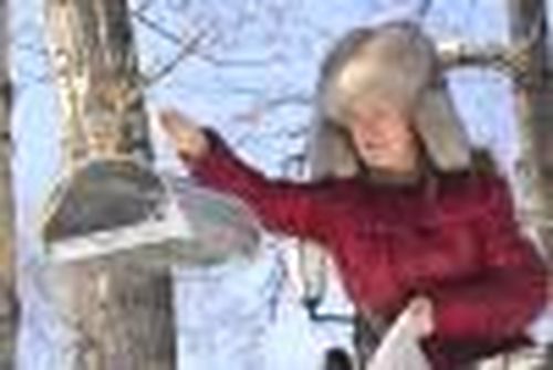 Прилетай на обед, синичка!