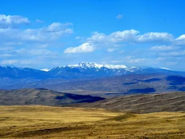 Родина в сердце