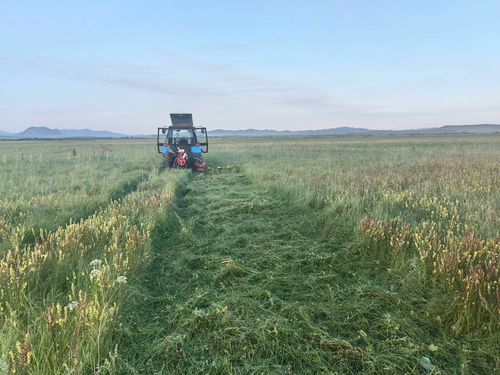 Аграрии Улуг-Хемского района приступили к кормозаготовительной кампании