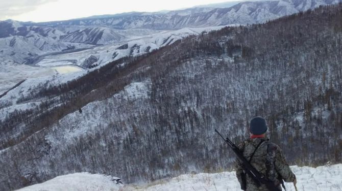 В приграничном Овюрском районе объявлен конкурс среди охотников-волчатников