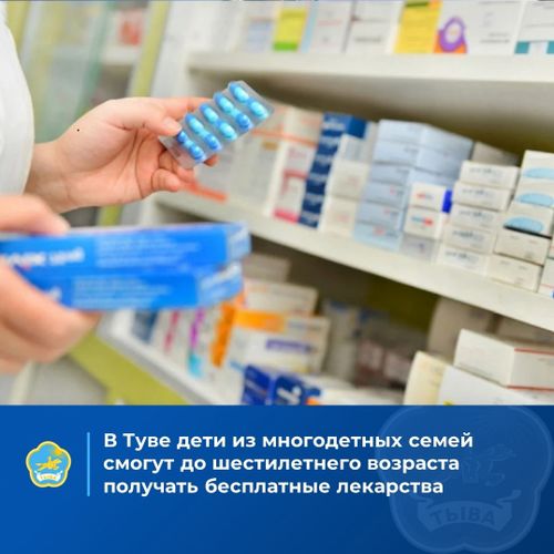 В Туве детей из многодетных семей, относящихся к категории малоимущих будут бесплатно обеспечивать лекарствами до достижения 6 лет