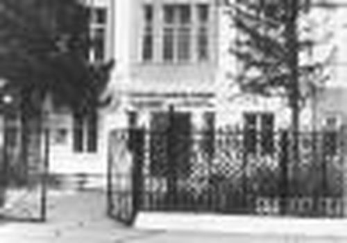 Почему горят леса