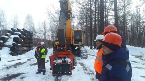 Каким будет мост Тоджи?