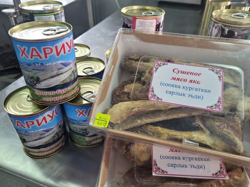 Даштыкыдан бараан киирерин солуур ажыл-чорудулга хевирлериниң даңзызын калбарткан