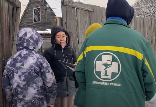 Служба ветеринарии Тувы сообщает о возможности вызвать врачей на дом для вакцинации домашних питомцев