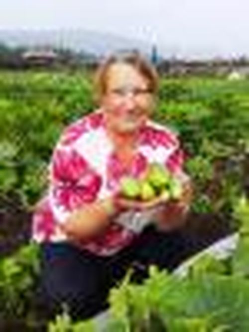 Мой огород — моё богатство!