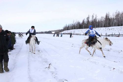В Тоджинском районе День оленевода пройдет 28 февраля 2020