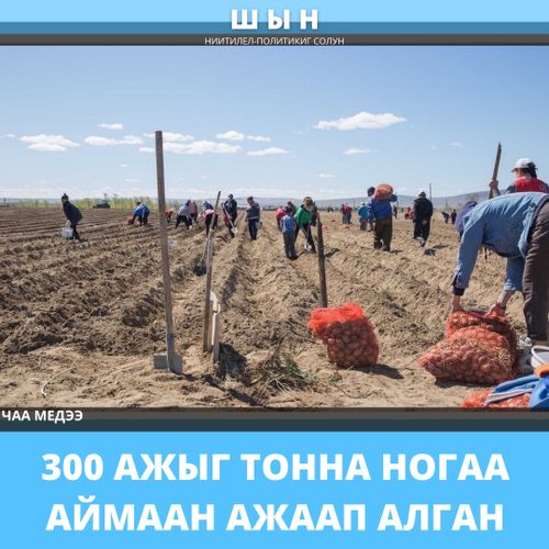 300 АЖЫГ ТОННА НОГАА АЙМААН АЖААП АЛГАН