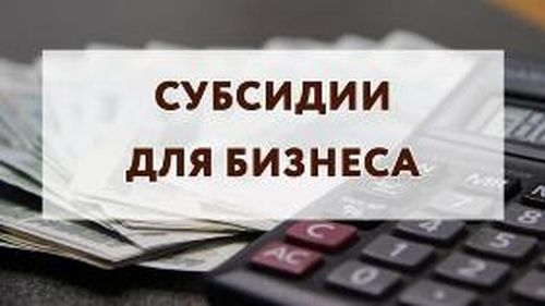 Министерство экономики Тувы субсидирует затраты предпринимателей на лизинг оборудования и техники