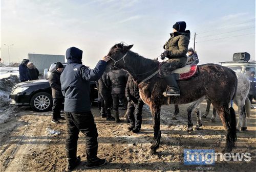 Скачки: В Туве прошли соревнования по конному спорту