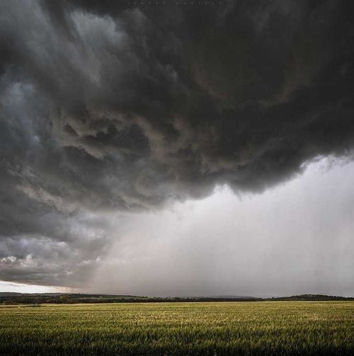 Спасайте саженцы. В Туве ожидается сильное похолодание