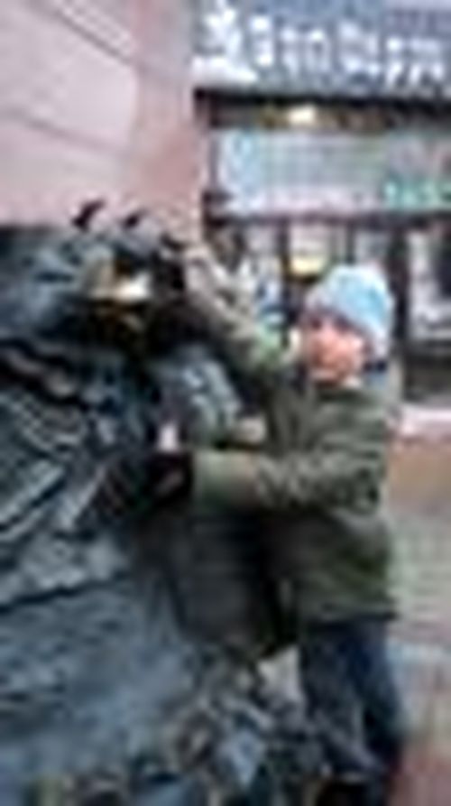 Гуляющие собачки