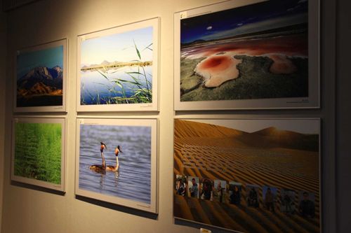 В Туве организовали фотовыставку ко Дню работников заповедного дела