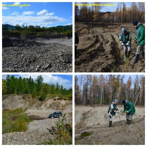 В ТОДЖИНСКОМ ЛЕСНИЧЕСТВЕ ЗАВЕРШИЛИ ВОССТАНОВЛЕНИЕ КАРЬЕРА