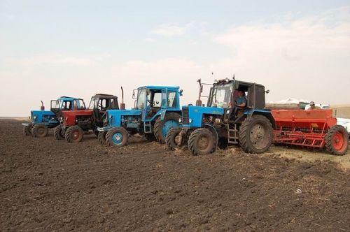 После Первомая стартует посевная