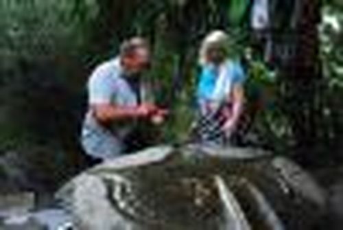 Земля, исполняющая желания