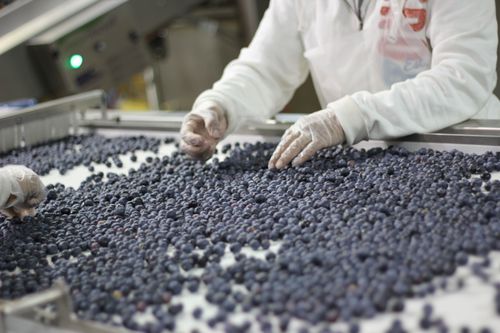 ЧЕТЫРЕ ШАГА К РАЗВИТИЮ