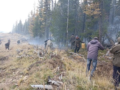 Демнежип өжүрүп турар.