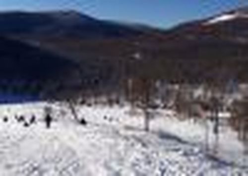 Назначена служебная проверка