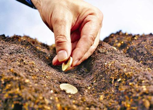 В Туве установили беспрецедентную льготу для фермеров