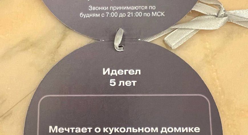 Глава Тувы в рамках акции «Ёлка желаний» исполнит мечту девочки Екатерины из Луганской Народной Республики
