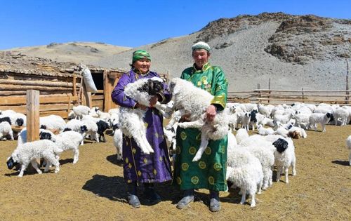 Тываның Баштыңы байыр чедирген.