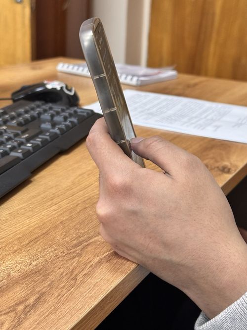 Внедрение мобильного приложения «Инспектор» в Хакасии и Туве